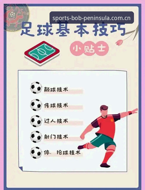 半岛体育APP使用教程：从下载安装到投注操作的全流程指南