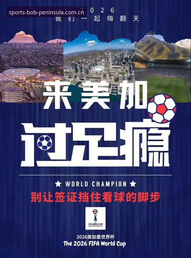 世界杯观赛受阻指南：地缘政治与签证政策如何影响球迷的体育盛宴